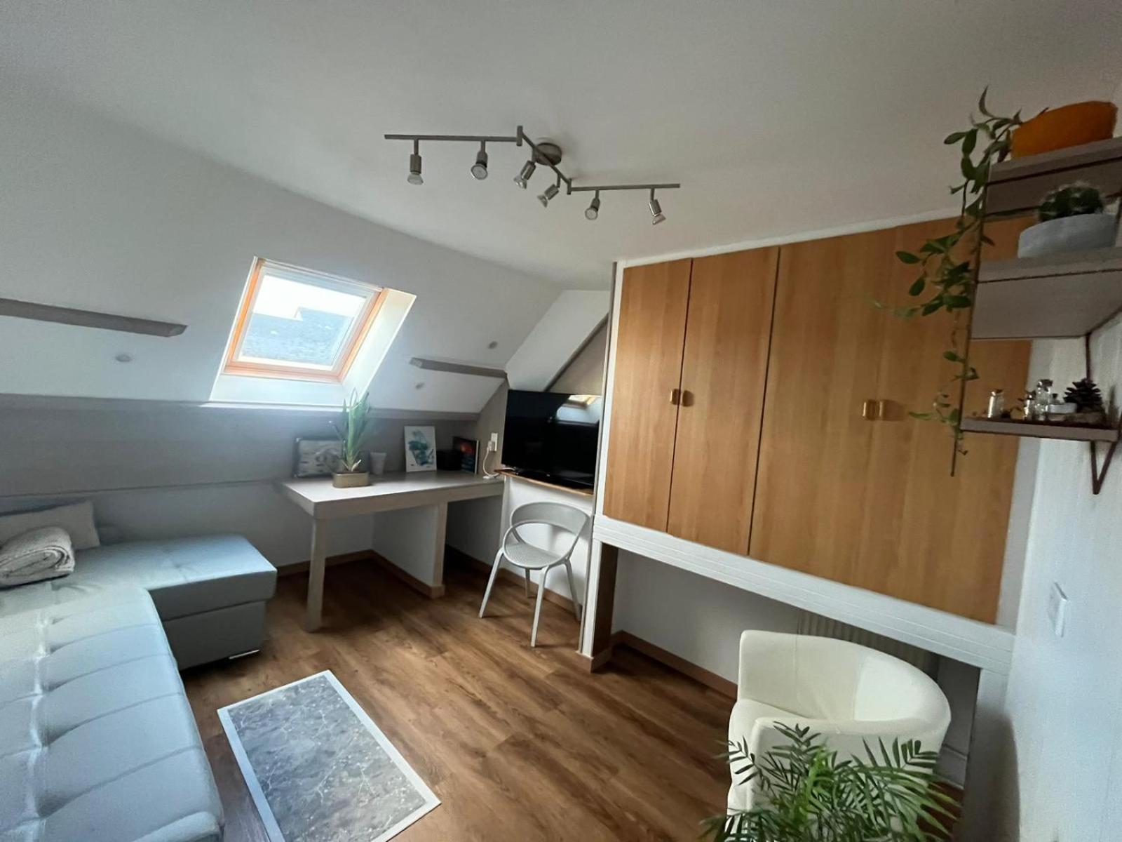 Appartement Type Loft Avec Terrasse Cherbourg-en-Cotentin Extérieur photo